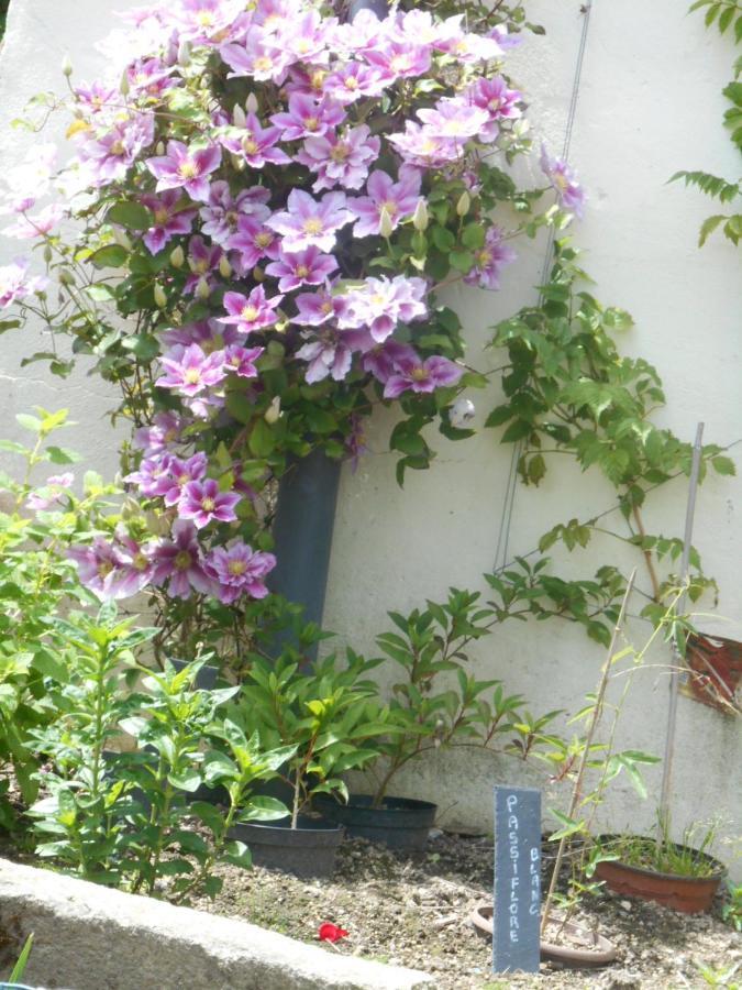 Bed and Breakfast La Mare aux Fées Huelgoat Exterior foto